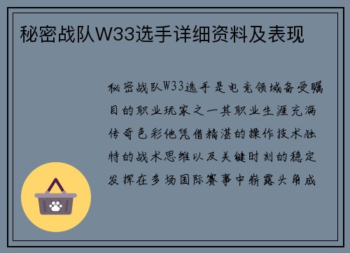 秘密战队W33选手详细资料及表现